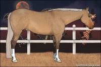 Horse Color:Silver Bay Dun 