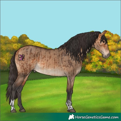 Horse Color:Bay  and Bay Dun 