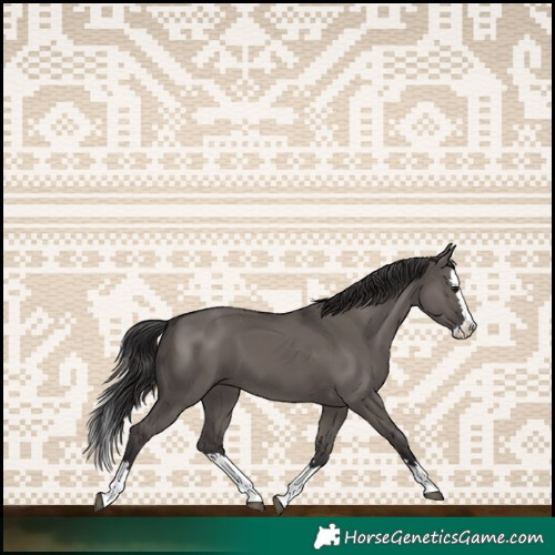 Horse Color:Smoky Grullo Splash