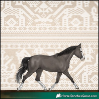 Horse Color:Smoky Grullo Splash 