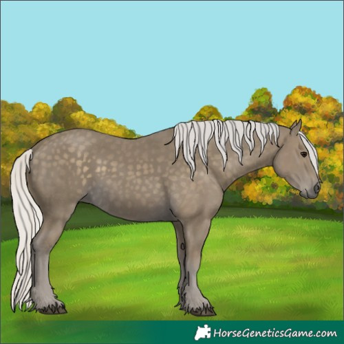 Horse Color:Silver Smoky Black 