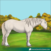 Horse Color:Smoky Creme