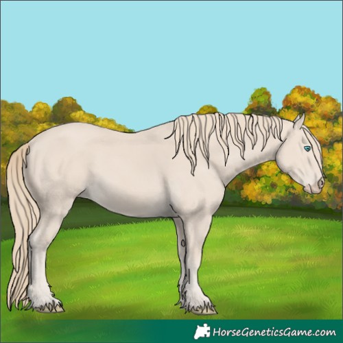 Horse Color:Smoky Creme 