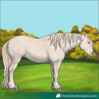 Horse Color:Smoky Creme 