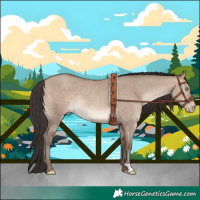 Horse Color:Sable Champagne Dun