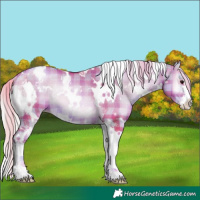 Horse Color:Watercolor Plaid White Spotted Silver Blue Onyx Pearl Sabino Rabicano