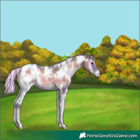 Horse Color:Painted Watercolor White Spotted Silver Blue Onyx