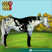 Horse Color:Void Watercolor Plaid White Spotted Silver Blue Onyx Ice Tobiano