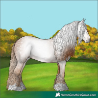 Horse Color:Gray Chestnut 