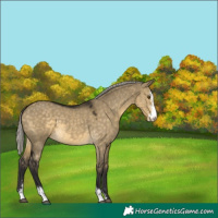 Horse Color:Silver Buckskin Dun Mushroom Sabino 