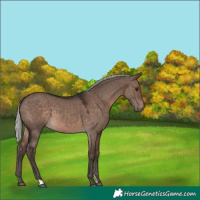 Horse Color:Silver Brown Dun Mushroom 