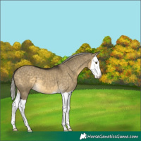 Horse Color:Silver Buckskin Dun Mushroom Splash 