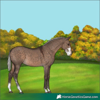 Horse Color:Silver Brown Dun Mushroom Sabino