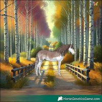 Horse Color:Liver Chestnut Splash Skewed Appaloosa