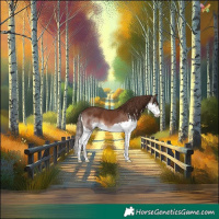 Horse Color:Liver Chestnut Splash Skewed Appaloosa 