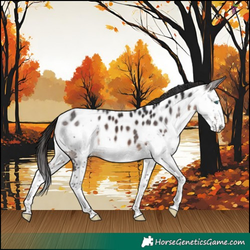 Horse Color:Brown Splash Skewed Appaloosa 