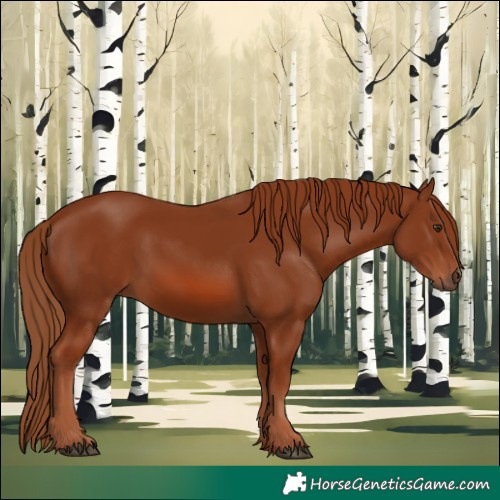 Horse Color:Chestnut 