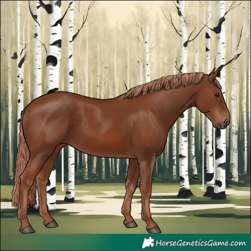 Horse Color:Chestnut 
