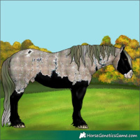 Horse Color:Plaid  Liver Chestnut Sabino Splash Varnish 