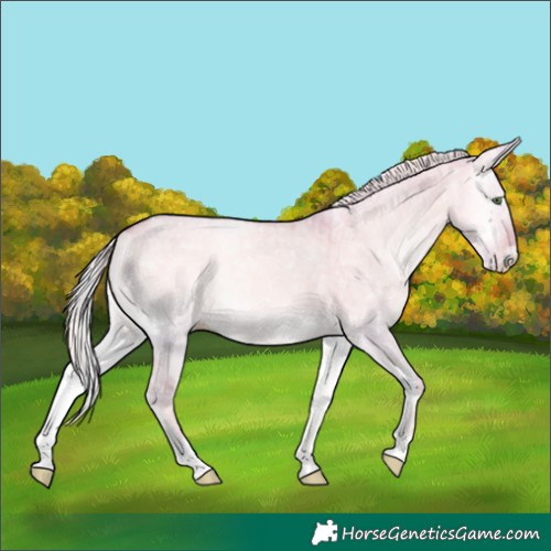 Horse Color:Watercolor Cremello Ice Onyx 