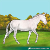 Horse Color:Watercolor Cremello Ice Onyx 