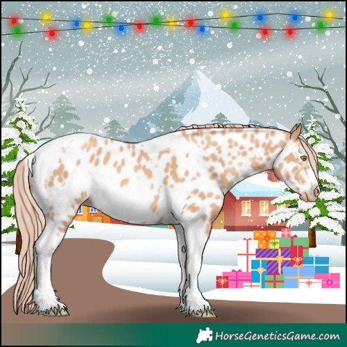 Horse Color:Gold Champagne Tobiano Frame Appaloosa 