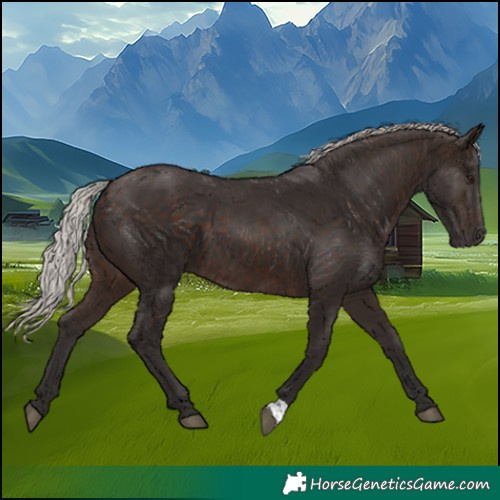 Horse Color:Silver Brown 