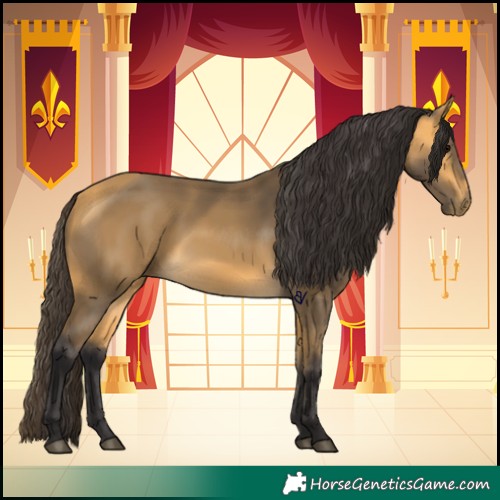 Horse Color:Buckskin 