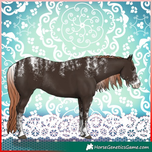 Horse Color:Powder White Liver Chestnut Rabicano 