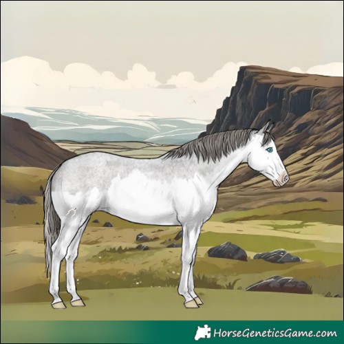 Horse Color:Smoky Blue Roan Splash Appaloosa 