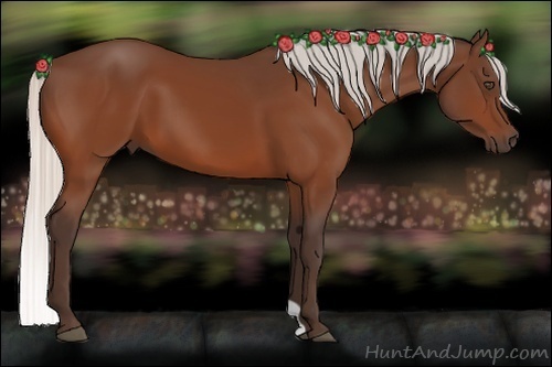 Horse Color:Silver Bay 