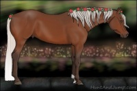 Horse Color:Silver Bay 