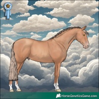 Horse Color:Gold Champagne 