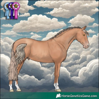 Horse Color:Gold Champagne