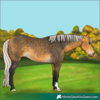 Horse Color:Silver Buckskin Rabicano