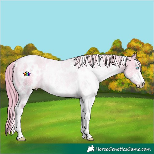 Horse Color:Watercolor White Spotted Smoky Creme Rabicano 