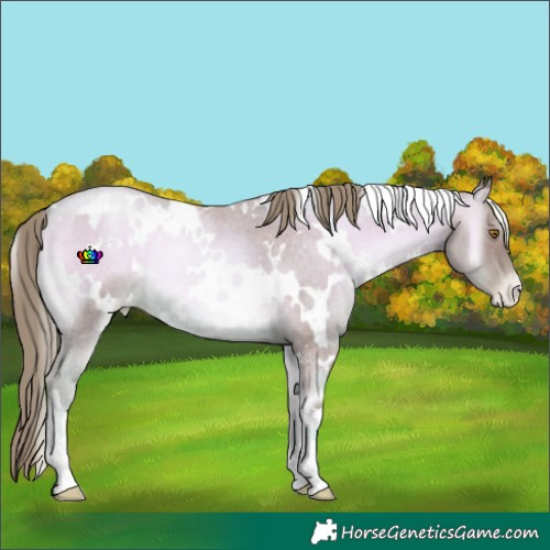 Horse Color:Watercolor White Spotted Smoky Blue Onyx Roan Pearl 