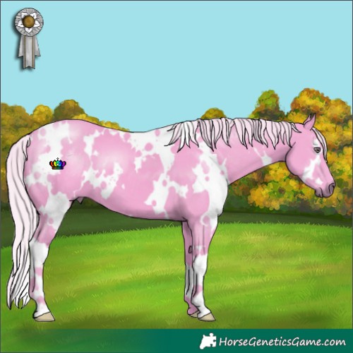 Horse Color:Watercolor White Spotted Silver Smoky Black Chinchilla 