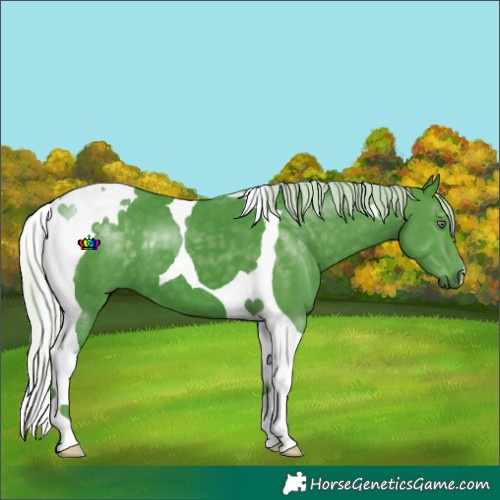 Horse Color:Watercolor Silver Smoky Black Chinchilla Tobiano 