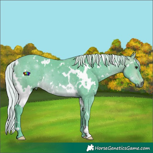 Horse Color:Watercolor White Spotted Silver Buckskin 