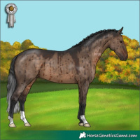 Horse Color:Brown Dun Brindle