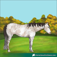 Horse Color:White Spotted Sable Champagne Ice Dun Rabicano 