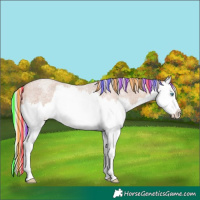 Horse Color:Painted White Spotted Chocolate Silver Sable Champagne Roan Splash 