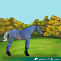 Horse Color:Void Watercolor Silver Brown Sabino 