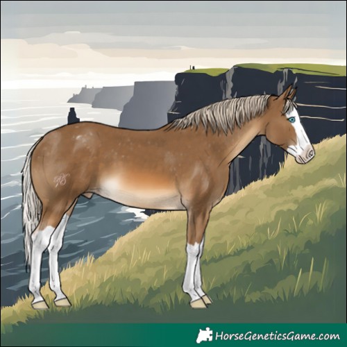 Horse Color:Chocolate Palomino Splash Appaloosa 