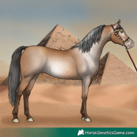Horse Color:Gray Amber Champagne