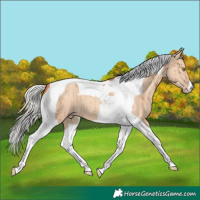 Horse Color:Silver Classic Champagne Dun Tobiano Brindle