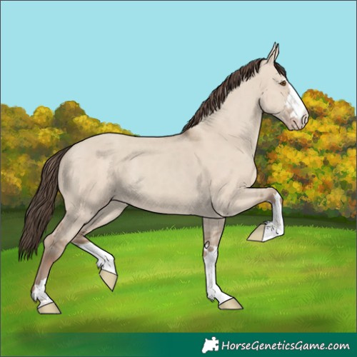 Horse Color:Classic Champagne Dun 