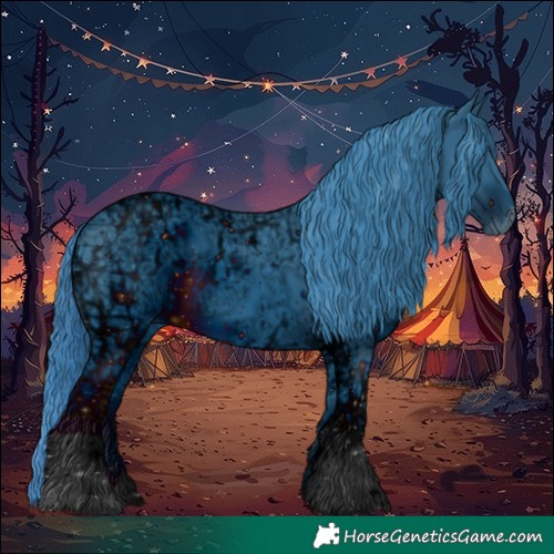 Horse Color:ERROR: UNKNOWN ANOMALY