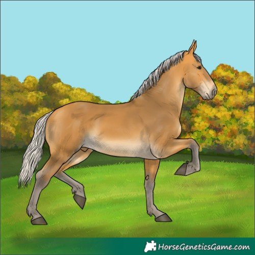 Horse Color:Silver Buckskin